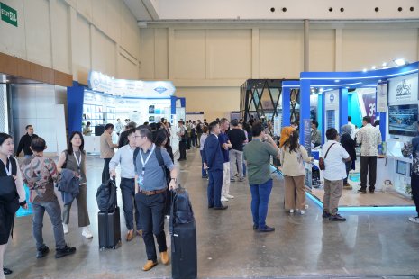 Exhibition pic from 2025